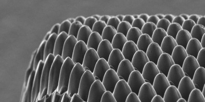 2025中國上海國際激光加工及焊接切割展覽會(huì)